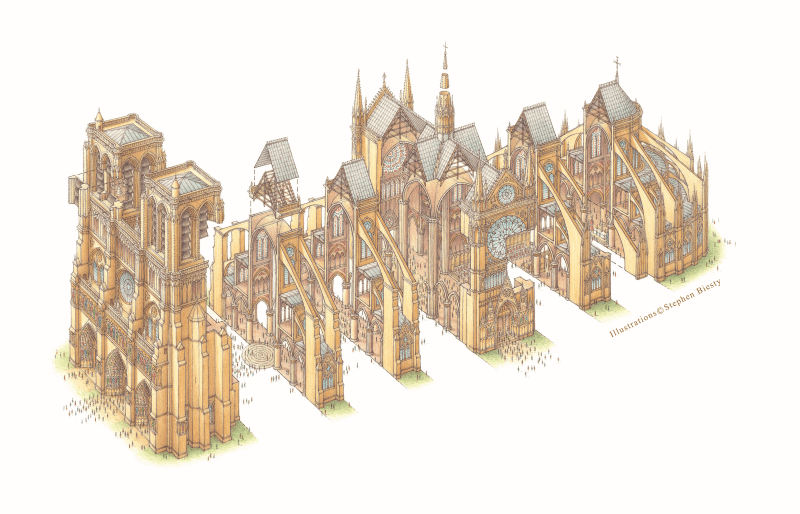史蒂芬．畢斯提繪製的巴黎聖母院斷面圖。