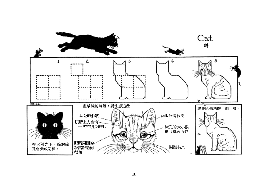 畫貓咪。