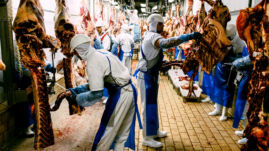 動物因為人類持續高漲的口腹之慾遭受虐待或非人道屠宰，但我們似乎就是被「吃肉」這件事套牢難以抵抗。