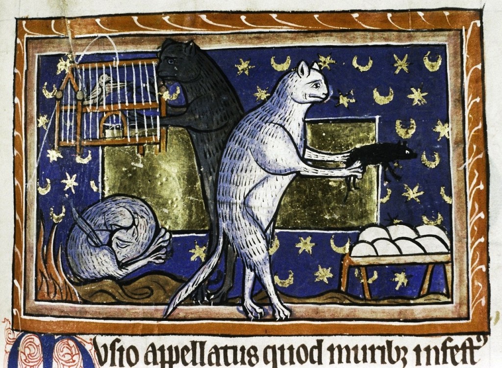 中世紀歐洲人怎麼幫愛貓取名字？