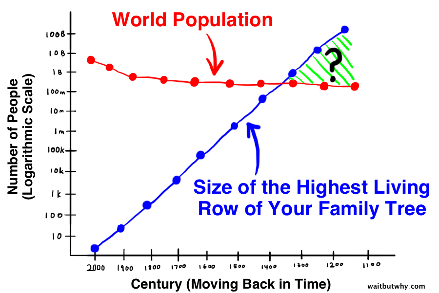 這些以指數增長的數字其實意義不大，因為如果繼續以這個速率成長下去，祖先數量將變得無比龐大。