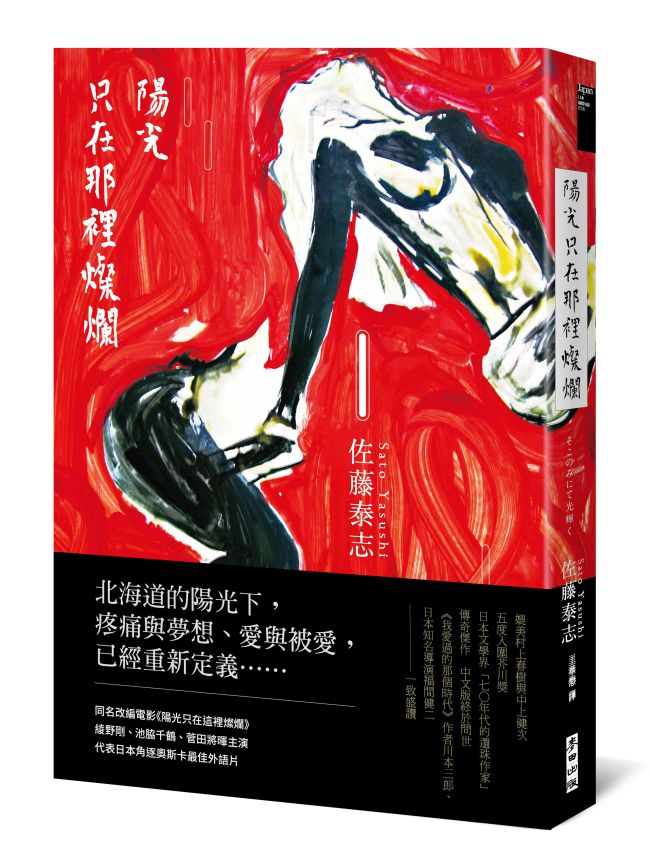 《陽光只在那裡燦爛》中文版書封。