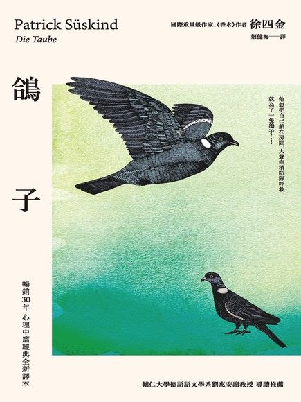 《鴿子》中文版書封。