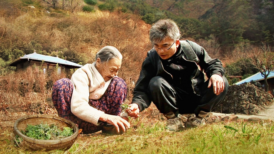 電影註定從養生的料理走向悼死的料理。