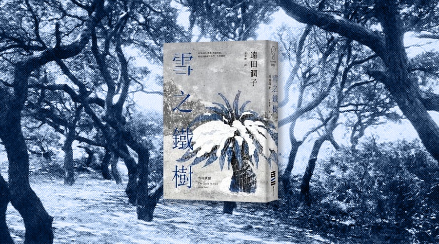 《雪之鐵樹》中文版書封。