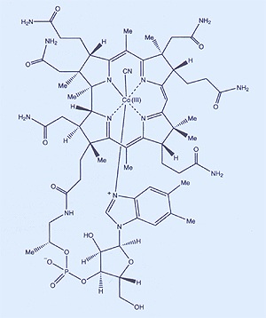 霍奇金所發現的維生素B12分子結構。