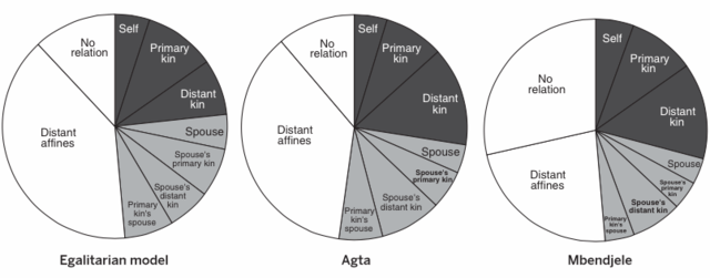 親屬關係在社會中的比例，由左至右分別為：平等社會的模擬模型、阿格塔人、姆班吉拉人。深灰色代表直系親屬，淺灰色代表配偶親屬，白色部分代表非親或遠房姻親。