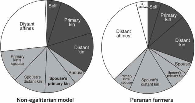 左為非平等社會模型：右為住在菲律賓阿格塔人附近的帕瑞南農民。可以看出農業社會的親屬比例，非親關係的人數極小。