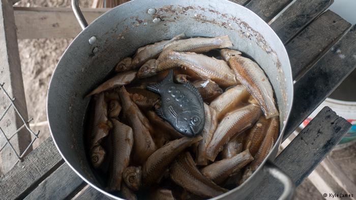 由於魚形有好運氣的象徵，當地婦女開始願意將鐵魚丟進茶壺或平底鍋。